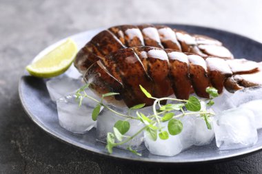 Çiğ ıstakoz kuyruğu, mikro yeşillikler, yeşil masada limon ve buz, yakın plan.