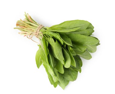 Beyaz, üst manzara izole taze yeşil kuş yaprakları