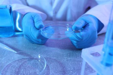 Masada Petri kabı olan bilim adamı, yakın plan.