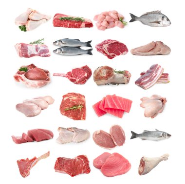 Balık ve et. Beyaz arka planda farklı ham ürünler, kolaj