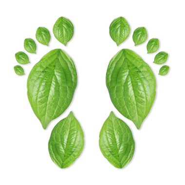 Beyaz arka planda yeşil yapraklardan yapılmış insan ayak izleri. Çevre bakımı, ekoloji koruması, CO2 emisyonunun azaltılması