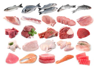 Balık ve et. Beyaz arka planda farklı ham ürünler, kolaj
