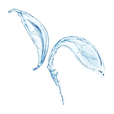 Su akışından yapılmış ağaç yaprakları beyaza izole edilmiş.