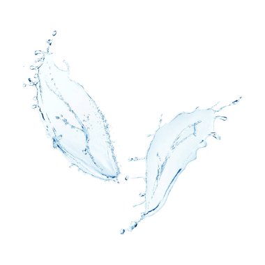 Su akışından yapılmış ağaç yaprakları beyaza izole edilmiş.