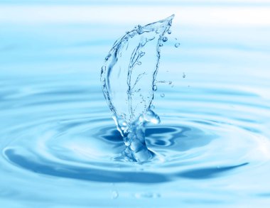 Su damlacıklarından yapılmış ağaç yaprağı, yakın plan