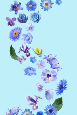 Mavi ve mor tonlarda güzel çiçekler renk arkaplanına düşüyor