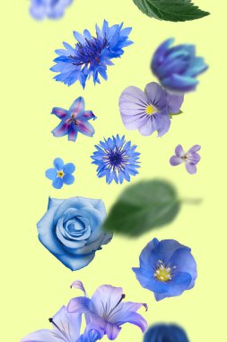 Mavi ve mor tonlarda güzel çiçekler soluk sarı arkaplanda düşüyor.