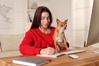 Şirin köpeğiyle birlikte ofis masasında bilgisayar başında çalışan genç bir kadın.