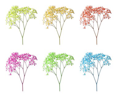 Beyaz arkaplanda farklı renklerde küçük çiçeklerle Gypthe dalı, ayarla