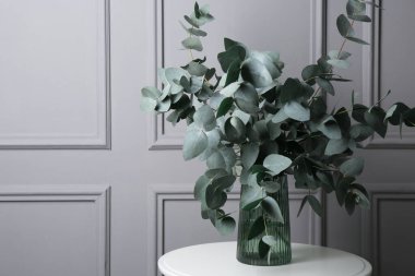 Gri duvarın yanındaki masada vazoda güzel okaliptüs dalları var.