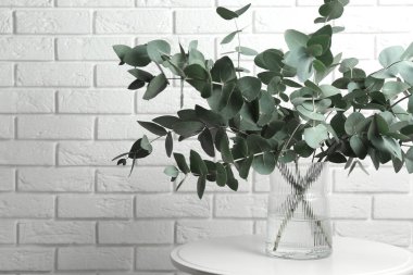 İçerideki beyaz tuğla duvarın yanındaki masada vazoda yeşil okaliptüs dalları var.