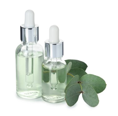 Beyaz üzerine izole edilmiş yağ ve okaliptüs yaprakları şişeleri.