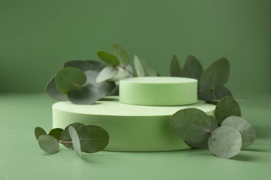 Yeşil zemine karşı podyumda güzel okaliptüs dalları