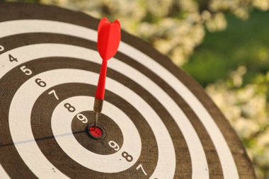 Hedef alınıyor. Dart tahtası ve açık havada ok, yakın plan.