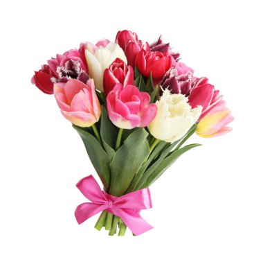 Beyaz izole güzel Lale buketi