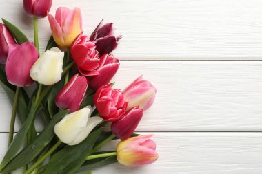 Beyaz ahşap arka planda güzel laleler, üst manzara. Metin için boşluk