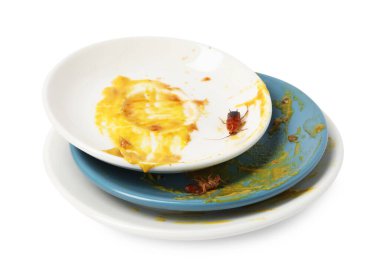 Beyaz arka planda kirli tabaklarda sürünen hamamböcekleri.