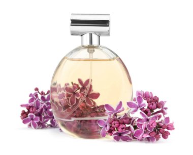 Bir şişe lüks parfüm ve beyaza ayrılmış leylak çiçekleri.