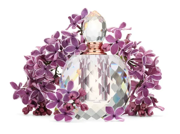 Bir şişe lüks parfüm ve beyaza ayrılmış leylak çiçekleri.