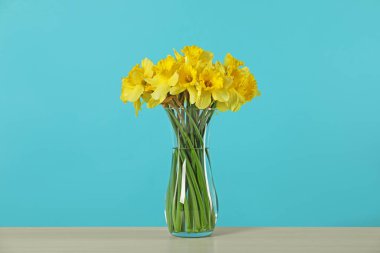 Masadaki vazodaki güzel nergisler turkuaz arka planda.