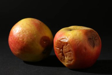 Siyah arka planda iki çürük elma, yakın plan.