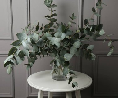 Gri duvarın yanındaki masada vazoda okaliptüs dalları var.