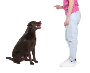 Köpeğini beyaz arka planda eğiten kadın, yakın plan.