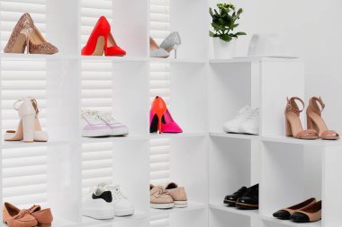 Ayakkabı deposu. Farklı ayakkabı ve ev bitkilerine sahip raf ünitesi.