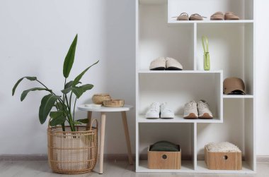 Farklı ayakkabı, aksesuar ve ev bitkilerine sahip raf ünitesi. Ayakkabı deposu