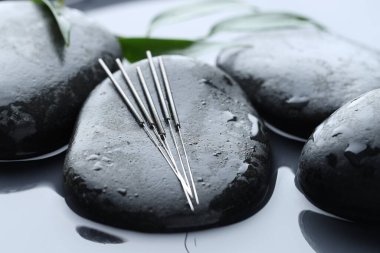 Akupunktur iğneleri, ıslak spa taşları ve su yüzeyinde yapraklar, yakın çekim.