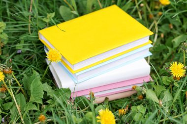 Yeşil çimlerin üzerine yığılmış kitaplar, yakın plan.