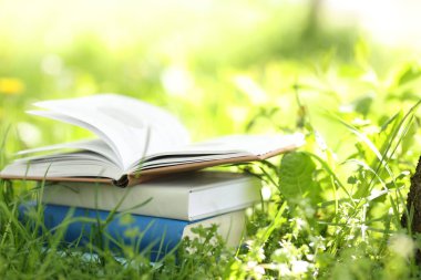 Yeşil çimenler üzerine farklı istiflenmiş kitaplar.