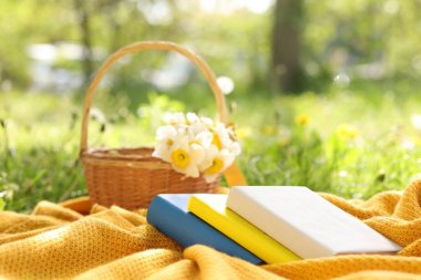 Yığılmış kitaplar, battaniye ve hasır sepet. Yeşil çimlerin üzerinde nergis çiçekleri, yakın plan.