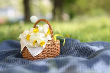 Açık havada üzerinde nergis çiçekleri olan hasır sepet. Metin için boşluk