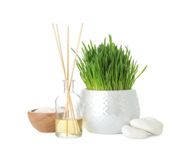 Spa composition with wheatgrass isolated on white