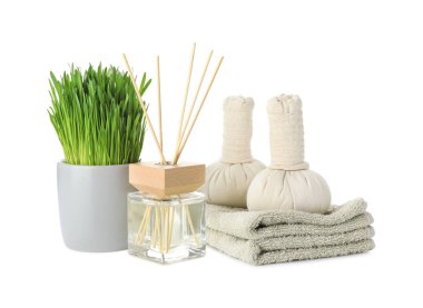 Spa composition with wheatgrass and herbal bags isolated on white