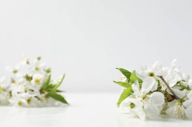Beyaz masa üzerinde güzel çiçekli dallar, yakın plan. Tasarım için boşluk