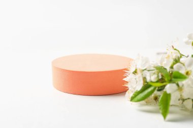 Yuvarlak podyum ve ince dal, beyaz arka planda güzel çiçekler, yakın plan. Metin için boşluk