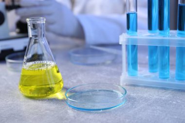 Petri kabı ve matarada örnekler var. Laboratuvarda çalışan bilim adamı, seçici odaklanma