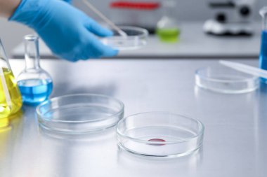 Laboratuvarda çalışan bilim adamları, Petri kaplarına odaklanın.