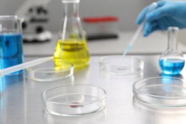 Laboratuvarda çalışan bilim adamları, Petri kaplarına odaklanın.