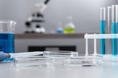 Laboratuvarda, yakın planda, ışık masasında numune ve diğer cam kaplar bulunan petri kapları.