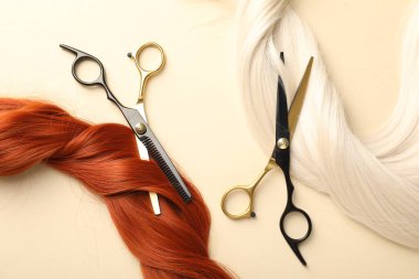 Bej arka planda saç kilitleri ve makas, düz yatış