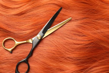 Makas saç tutacağı, üst görüş. Metin için boşluk