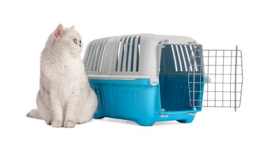 Sevimli kedi ve evcil hayvan taşıyıcısı beyaz üzerinde izole edilmiş.