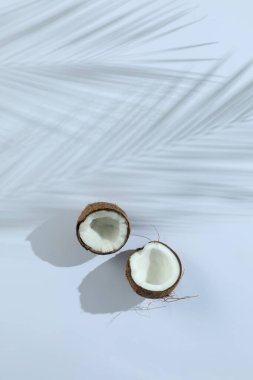 Taze hindistan cevizi ve gölge açık gri arka planda tropikal palmiye, üst görünüm