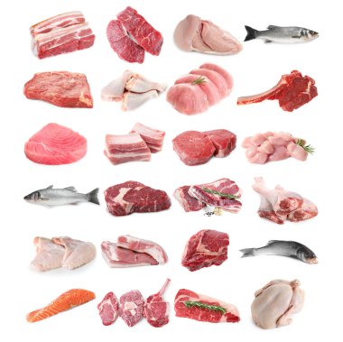Balık ve et. Beyaz arka planda farklı ham ürünler, kolaj