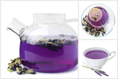 Beyaz arkaplanda kelebek çayı, kolaj.