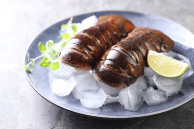 Çiğ ıstakoz kuyruğu, mikro yeşillikler, yeşil masada limon ve buz, yakın plan.