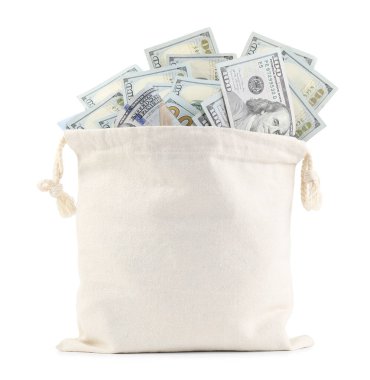 Dolar banknotları olan para çantası beyaza izole edilmiş.